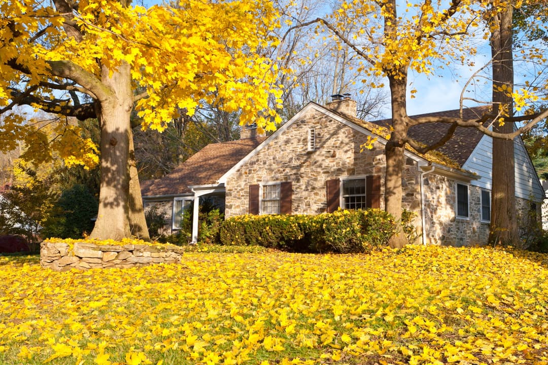 house in fall