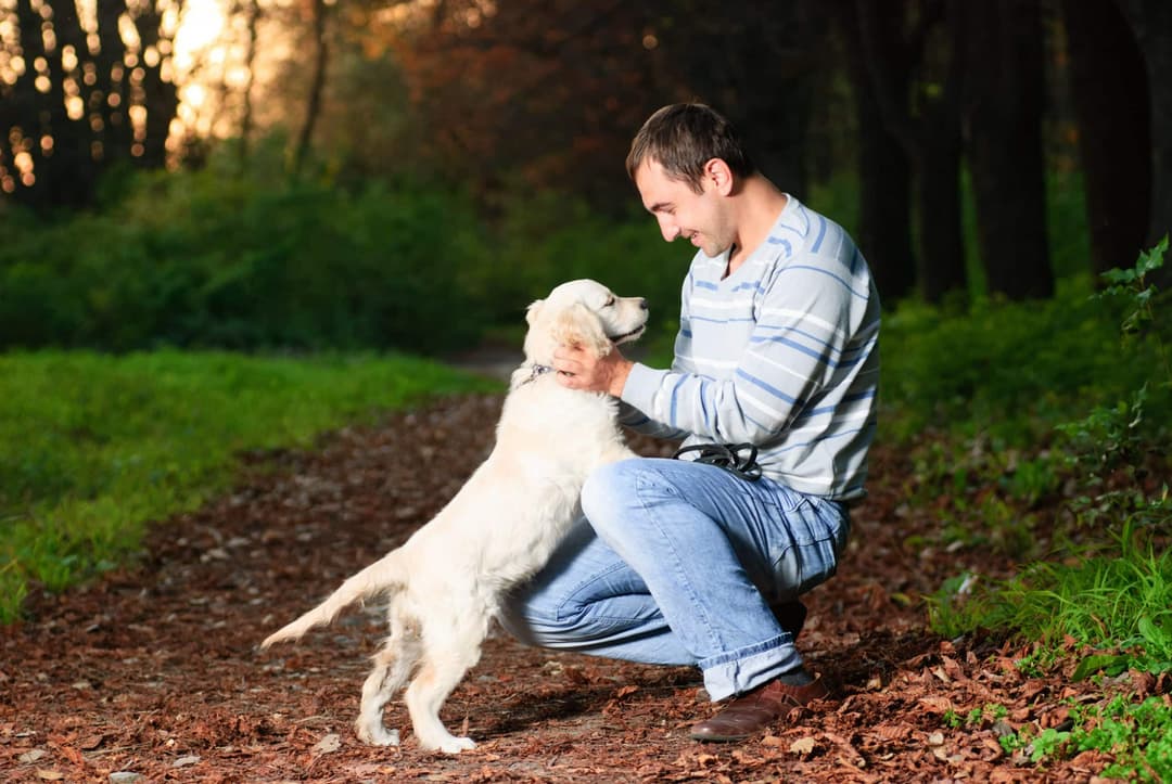 man playing with dog