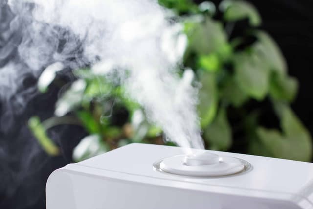 humidifier